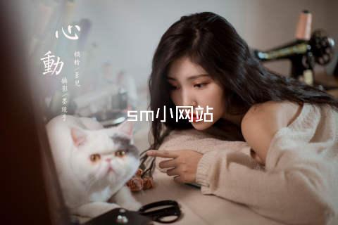 sm小网站